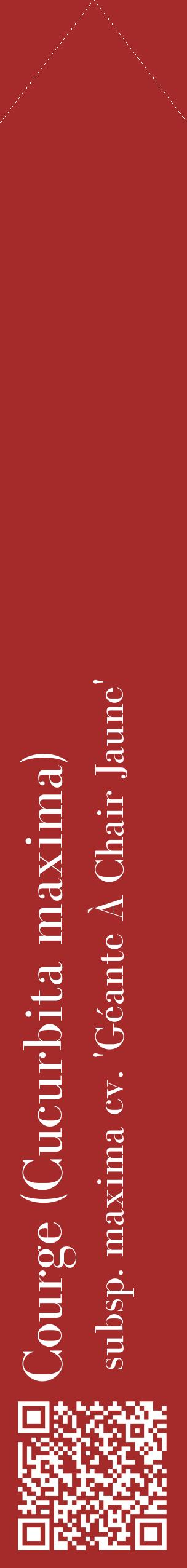 Étiquette de : Cucurbita maxima subsp. maxima cv. 'Géante À Chair Jaune' - format c - style blanche33_simplebod avec qrcode et comestibilité