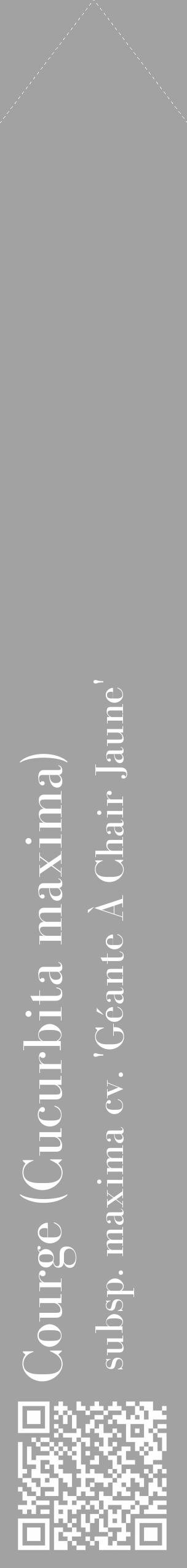 Étiquette de : Cucurbita maxima subsp. maxima cv. 'Géante À Chair Jaune' - format c - style blanche38_simple_simplebod avec qrcode et comestibilité - position verticale