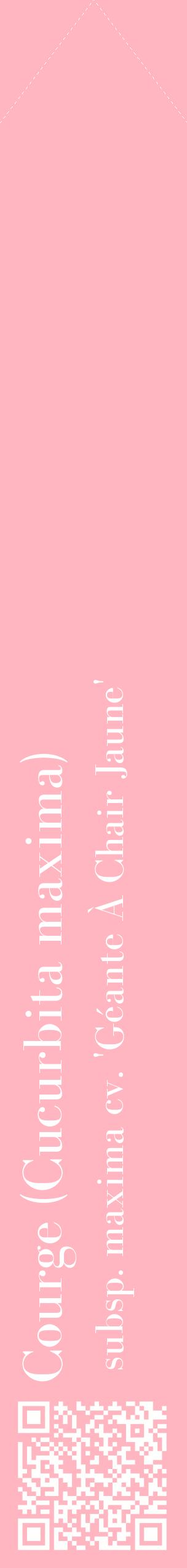 Étiquette de : Cucurbita maxima subsp. maxima cv. 'Géante À Chair Jaune' - format c - style blanche41_simplebod avec qrcode et comestibilité