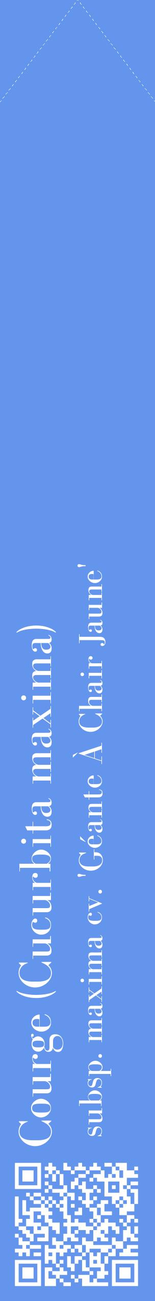 Étiquette de : Cucurbita maxima subsp. maxima cv. 'Géante À Chair Jaune' - format c - style blanche4_simplebod avec qrcode et comestibilité