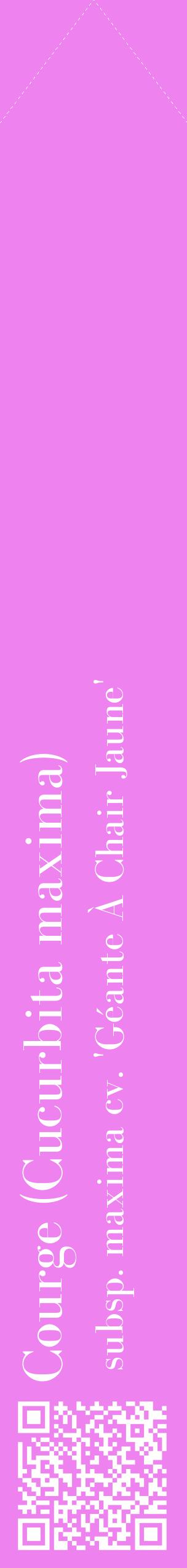 Étiquette de : Cucurbita maxima subsp. maxima cv. 'Géante À Chair Jaune' - format c - style blanche53_simplebod avec qrcode et comestibilité
