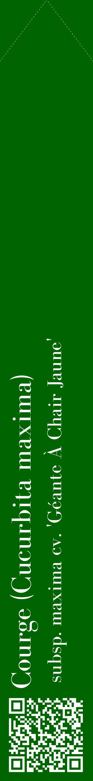 Étiquette de : Cucurbita maxima subsp. maxima cv. 'Géante À Chair Jaune' - format c - style blanche8_simplebod avec qrcode et comestibilité