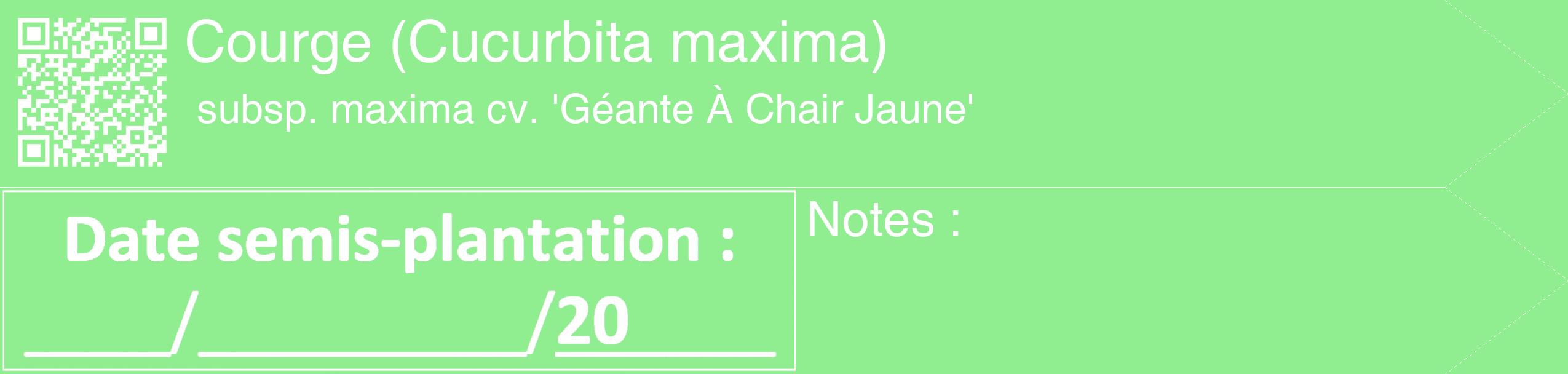 Étiquette de : Cucurbita maxima subsp. maxima cv. 'Géante À Chair Jaune' - format c - style blanche15_simple_simplehel avec qrcode et comestibilité
