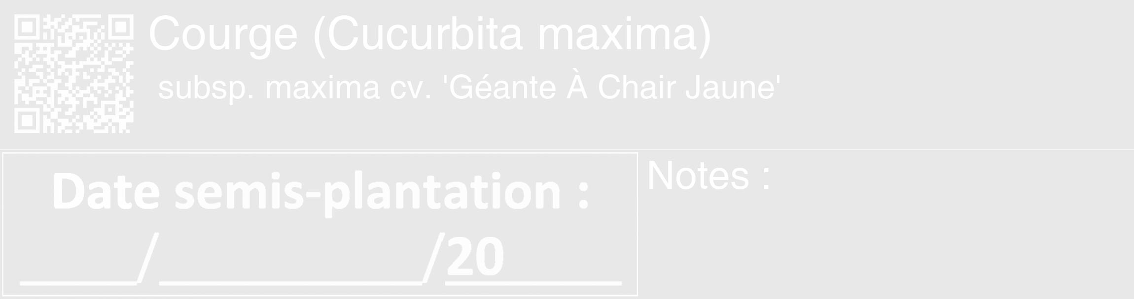 Étiquette de : Cucurbita maxima subsp. maxima cv. 'Géante À Chair Jaune' - format c - style blanche55_basique_basiquehel avec qrcode et comestibilité