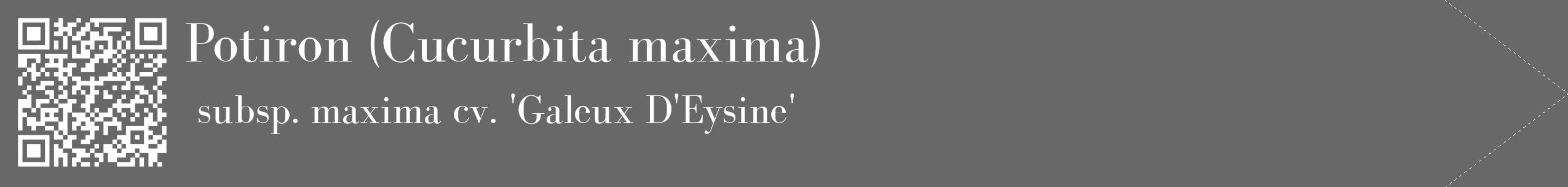 Étiquette de : Cucurbita maxima subsp. maxima cv. 'Galeux D'Eysine' - format c - style blanche6_simple_simplebod avec qrcode et comestibilité