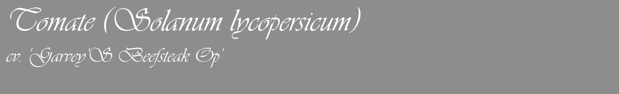 Étiquette de : Solanum lycopersicum cv. 'Garvey'S Beefsteak Op' - format c - style blanche2_basique_basiqueviv avec comestibilité