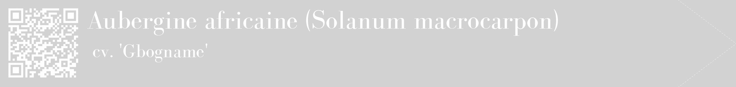 Étiquette de : Solanum macrocarpon cv. 'Gbogname' - format c - style blanche14_simple_simplebod avec qrcode et comestibilité