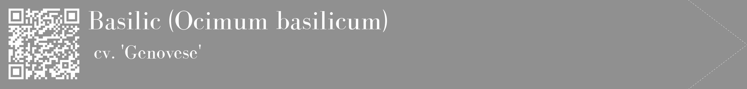 Étiquette de : Ocimum basilicum cv. 'Genovese' - format c - style blanche4_simple_simplebod avec qrcode et comestibilité