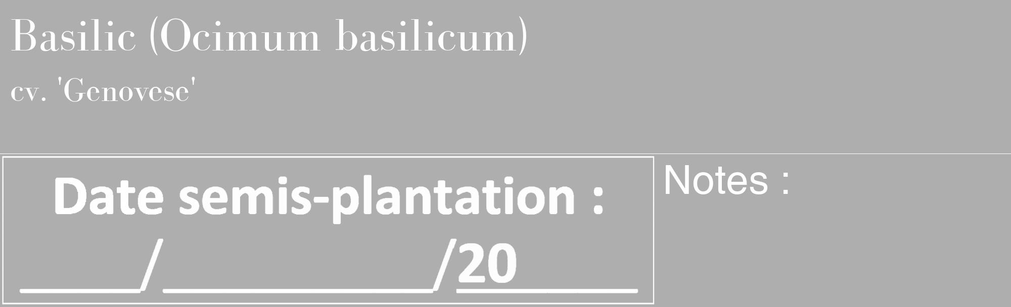 Étiquette de : Ocimum basilicum cv. 'Genovese' - format c - style blanche53_basique_basiquebod avec comestibilité