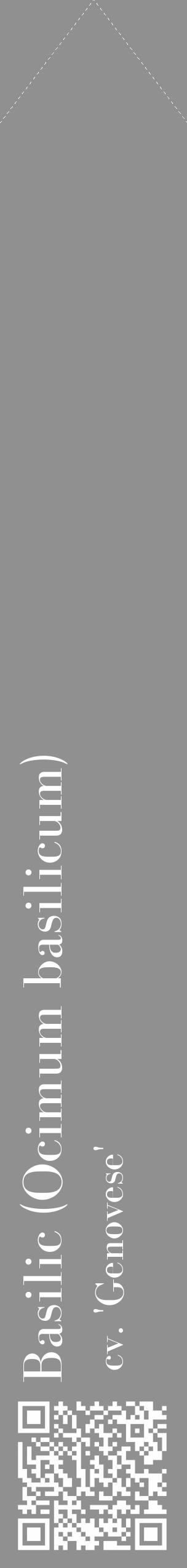 Étiquette de : Ocimum basilicum cv. 'Genovese' - format c - style blanche4_simple_simplebod avec qrcode et comestibilité - position verticale