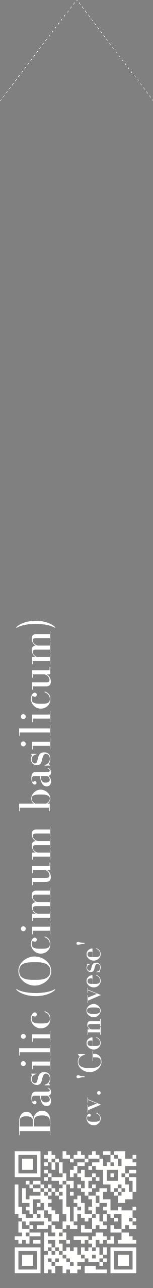 Étiquette de : Ocimum basilicum cv. 'Genovese' - format c - style blanche57_simplebod avec qrcode et comestibilité