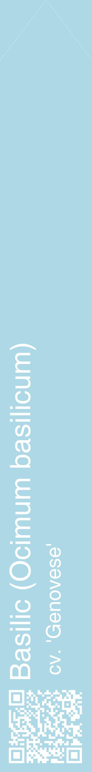 Étiquette de : Ocimum basilicum cv. 'Genovese' - format c - style blanche0_simplehel avec qrcode et comestibilité