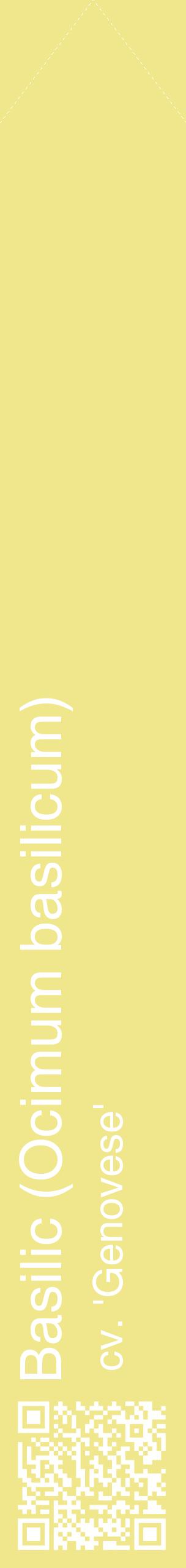 Étiquette de : Ocimum basilicum cv. 'Genovese' - format c - style blanche20_simplehel avec qrcode et comestibilité