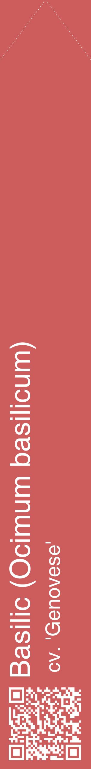 Étiquette de : Ocimum basilicum cv. 'Genovese' - format c - style blanche35_simplehel avec qrcode et comestibilité