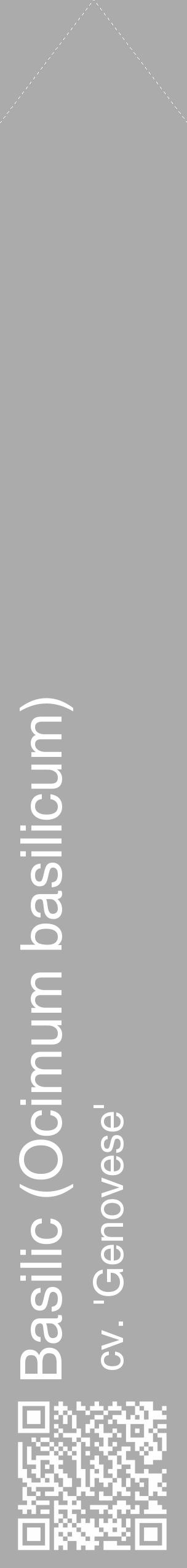 Étiquette de : Ocimum basilicum cv. 'Genovese' - format c - style blanche37_simple_simplehel avec qrcode et comestibilité - position verticale
