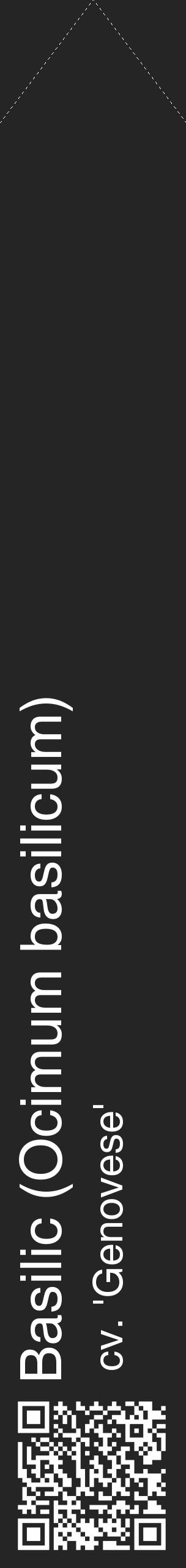 Étiquette de : Ocimum basilicum cv. 'Genovese' - format c - style blanche47_simple_simplehel avec qrcode et comestibilité - position verticale