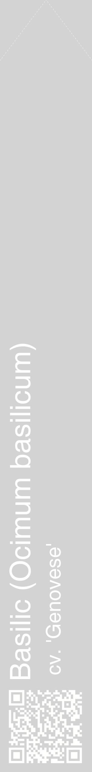 Étiquette de : Ocimum basilicum cv. 'Genovese' - format c - style blanche56_simplehel avec qrcode et comestibilité