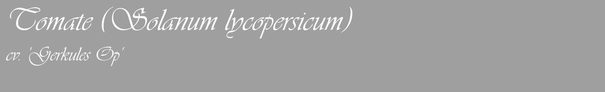 Étiquette de : Solanum lycopersicum cv. 'Gerkules Op' - format c - style blanche24_basique_basiqueviv avec comestibilité