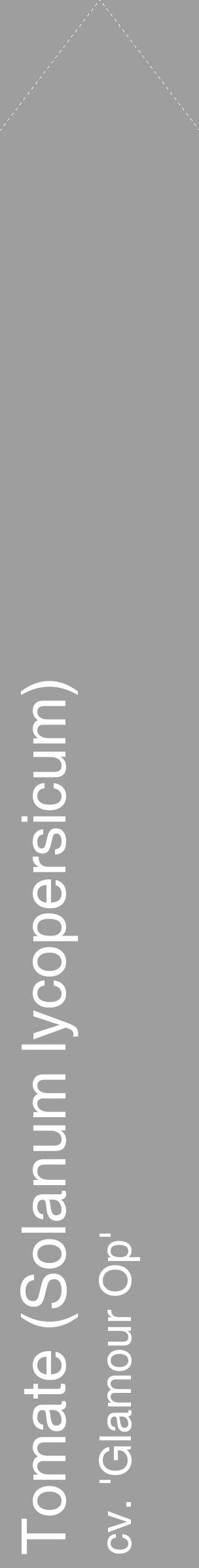 Étiquette de : Solanum lycopersicum cv. 'Glamour Op' - format c - style blanche42_simple_simplehel avec comestibilité - position verticale
