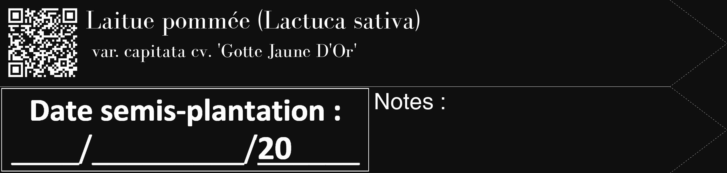 Étiquette de : Lactuca sativa var. capitata cv. 'Gotte Jaune D'Or' - format c - style blanche7_simple_simplebod avec qrcode et comestibilité