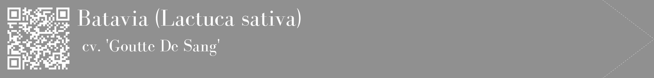 Étiquette de : Lactuca sativa cv. 'Goutte De Sang' - format c - style blanche4_simple_simplebod avec qrcode et comestibilité