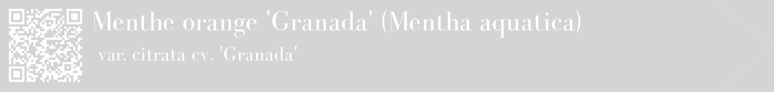 Étiquette de : Mentha aquatica var. citrata cv. 'Granada' - format c - style blanche40_simple_simplebod avec qrcode et comestibilité