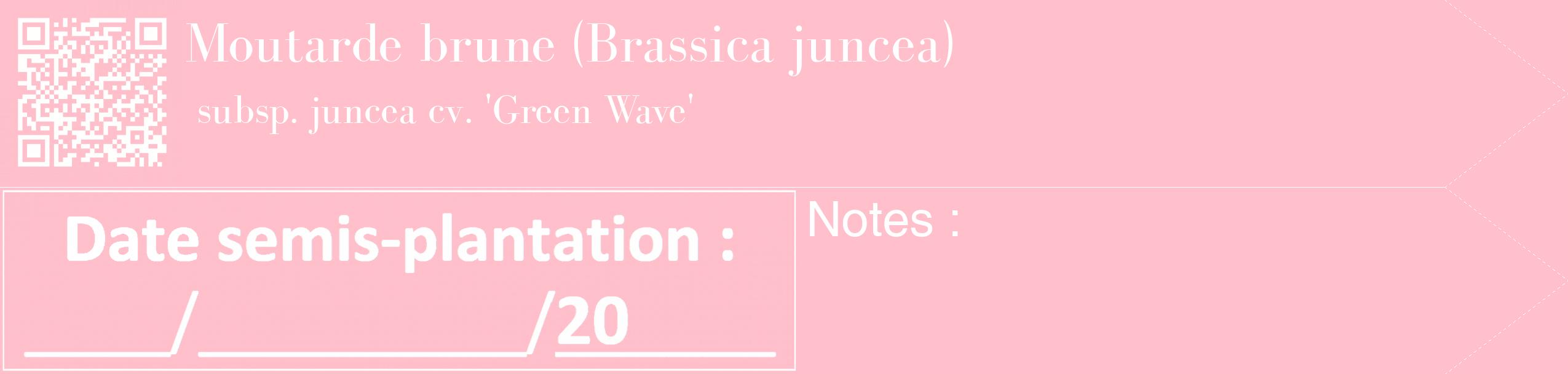 Étiquette de : Brassica juncea subsp. juncea cv. 'Green Wave' - format c - style blanche40_simple_simplebod avec qrcode et comestibilité