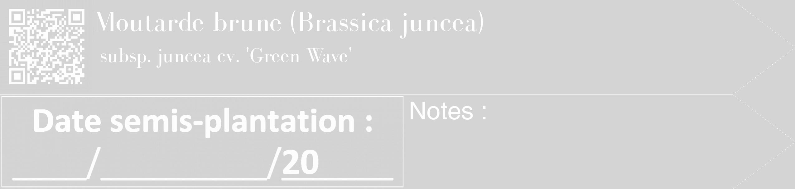 Étiquette de : Brassica juncea subsp. juncea cv. 'Green Wave' - format c - style blanche40_simple_simplebod avec qrcode et comestibilité