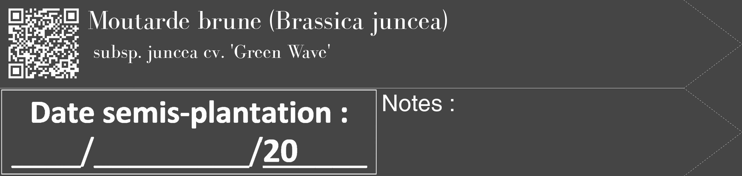 Étiquette de : Brassica juncea subsp. juncea cv. 'Green Wave' - format c - style blanche58_simple_simplebod avec qrcode et comestibilité