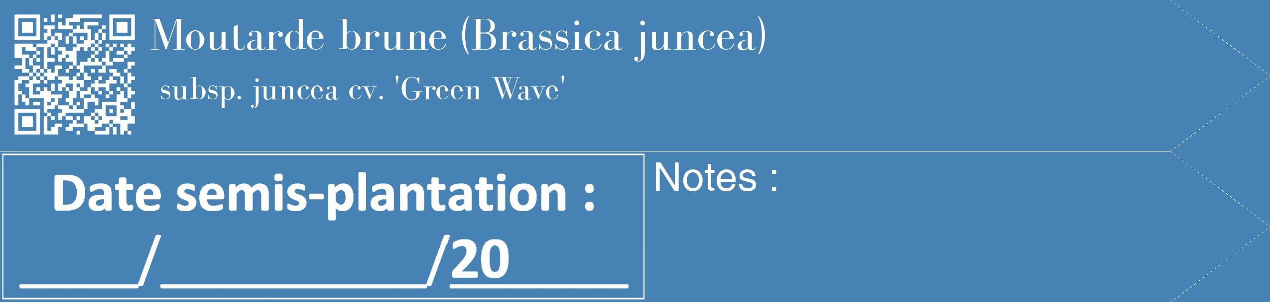 Étiquette de : Brassica juncea subsp. juncea cv. 'Green Wave' - format c - style blanche5_simple_simplebod avec qrcode et comestibilité