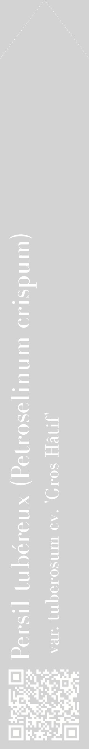 Étiquette de : Petroselinum crispum var. tuberosum cv. 'Gros Hâtif' - format c - style blanche56_simplebod avec qrcode et comestibilité