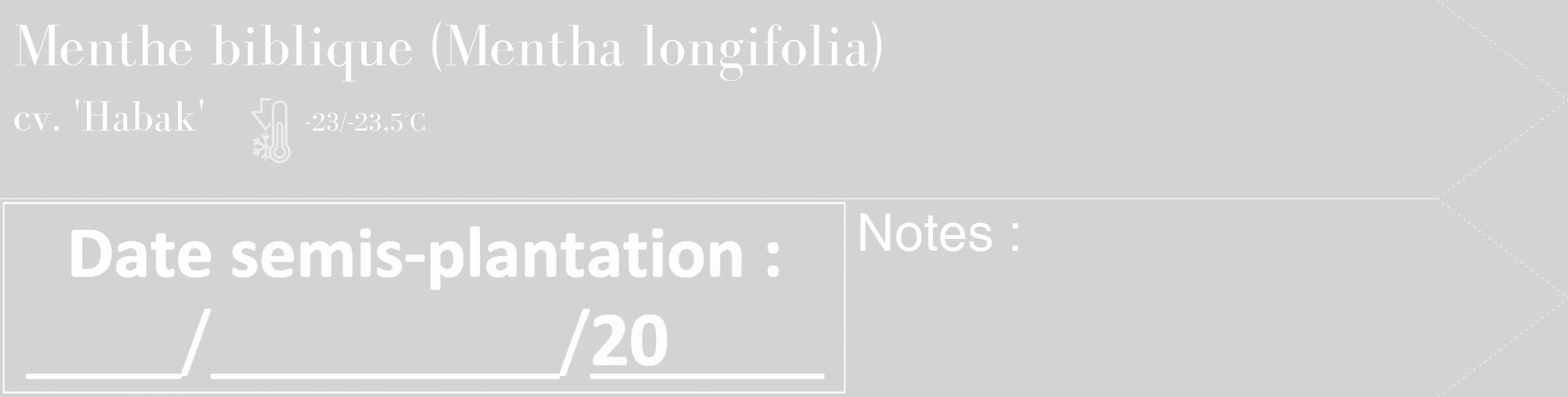 Étiquette de : Mentha longifolia cv. 'Habak' - format c - style blanche56_simple_simplebod avec comestibilité