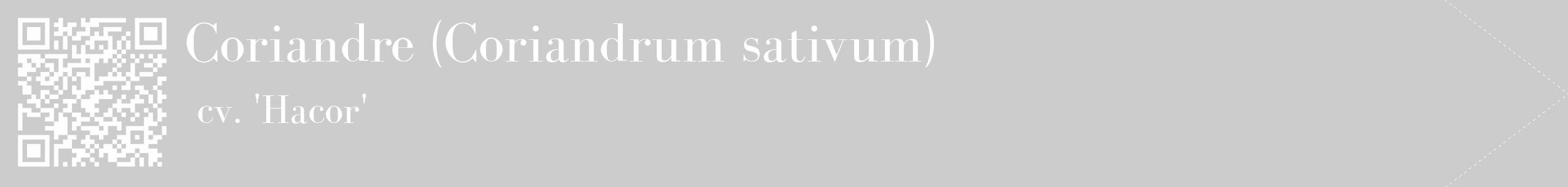 Étiquette de : Coriandrum sativum cv. 'Hacor' - format c - style blanche0_simple_simplebod avec qrcode et comestibilité