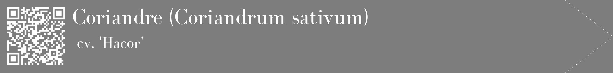 Étiquette de : Coriandrum sativum cv. 'Hacor' - format c - style blanche35_simple_simplebod avec qrcode et comestibilité