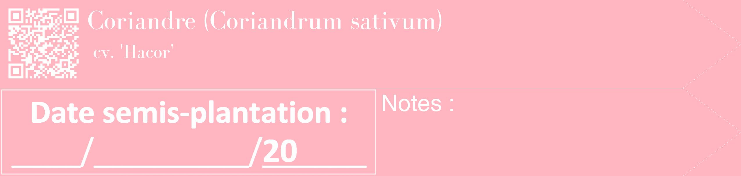 Étiquette de : Coriandrum sativum cv. 'Hacor' - format c - style blanche41_simple_simplebod avec qrcode et comestibilité