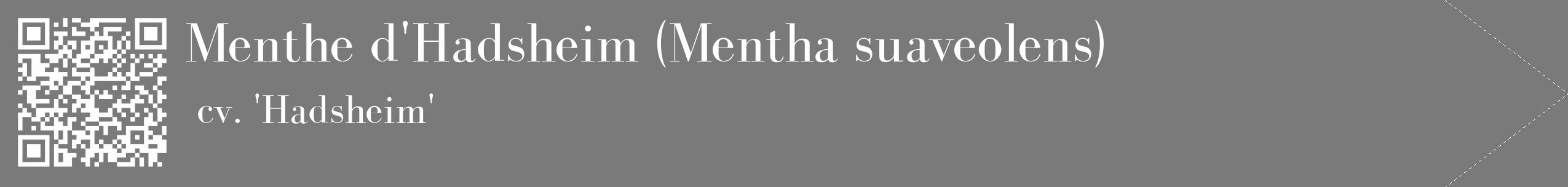 Étiquette de : Mentha suaveolens cv. 'Hadsheim' - format c - style blanche3_simple_simplebod avec qrcode et comestibilité