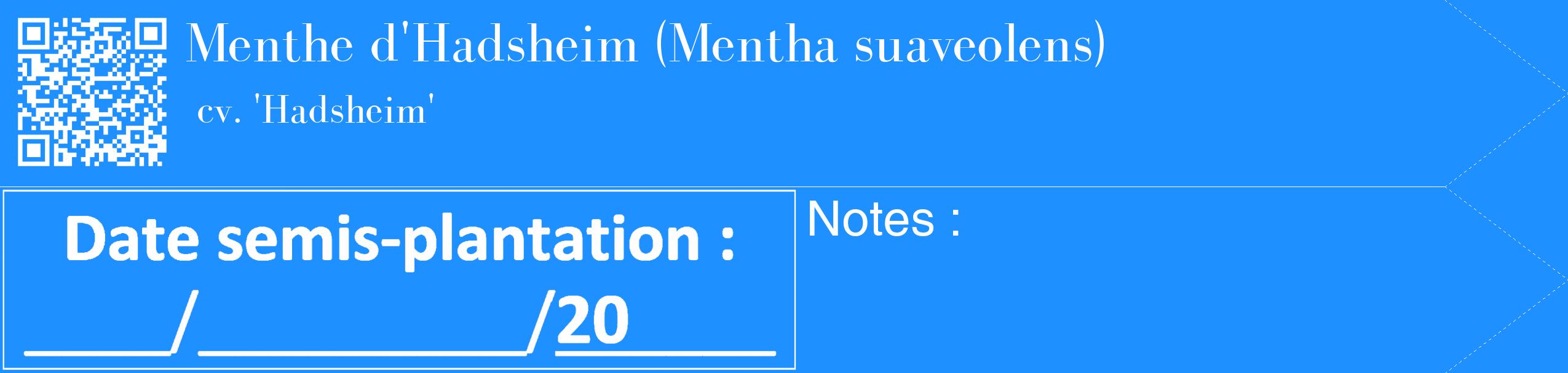 Étiquette de : Mentha suaveolens cv. 'Hadsheim' - format c - style blanche3_simple_simplebod avec qrcode et comestibilité