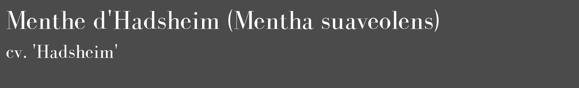 Étiquette de : Mentha suaveolens cv. 'Hadsheim' - format c - style blanche9_basique_basiquebod avec comestibilité