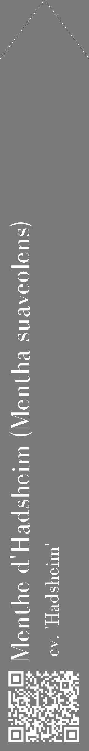 Étiquette de : Mentha suaveolens cv. 'Hadsheim' - format c - style blanche3_simple_simplebod avec qrcode et comestibilité - position verticale