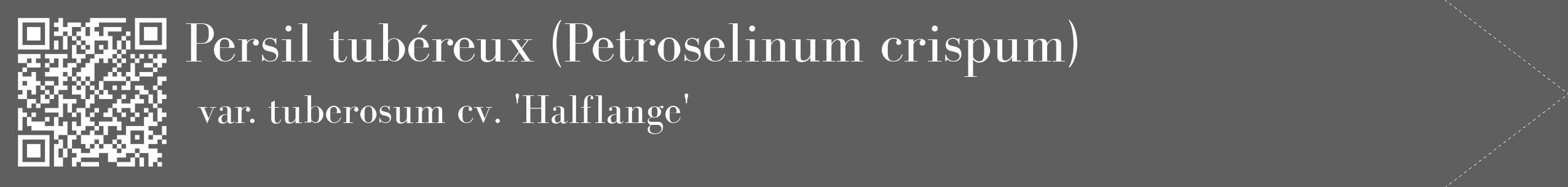 Étiquette de : Petroselinum crispum var. tuberosum cv. 'Halflange' - format c - style blanche10_simple_simplebod avec qrcode et comestibilité