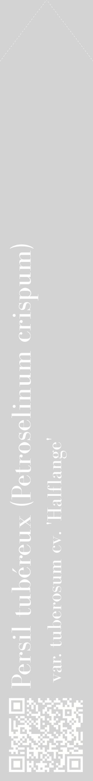 Étiquette de : Petroselinum crispum var. tuberosum cv. 'Halflange' - format c - style blanche56_simplebod avec qrcode et comestibilité