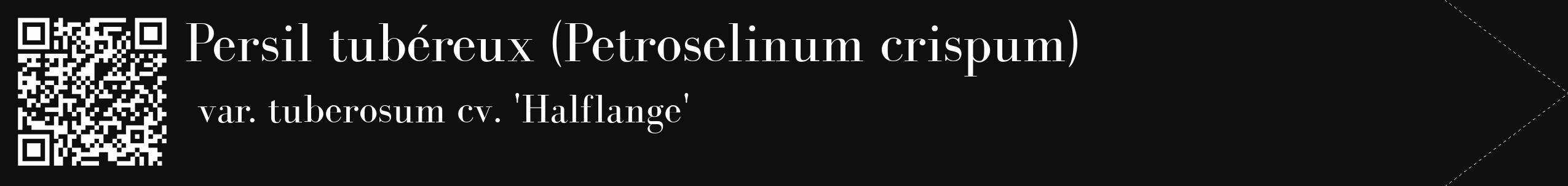 Étiquette de : Petroselinum crispum var. tuberosum cv. 'Halflange' - format c - style blanche7_simple_simplebod avec qrcode et comestibilité