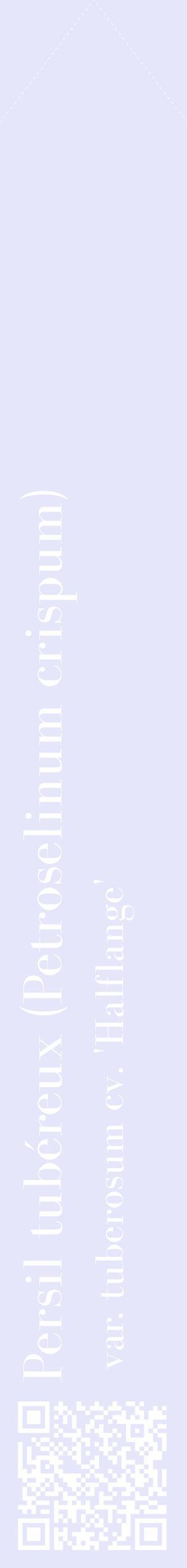 Étiquette de : Petroselinum crispum var. tuberosum cv. 'Halflange' - format c - style blanche55_simplebod avec qrcode et comestibilité