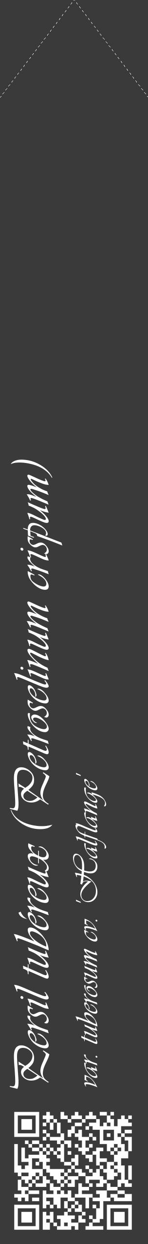 Étiquette de : Petroselinum crispum var. tuberosum cv. 'Halflange' - format c - style blanche8_simple_simpleviv avec qrcode et comestibilité - position verticale