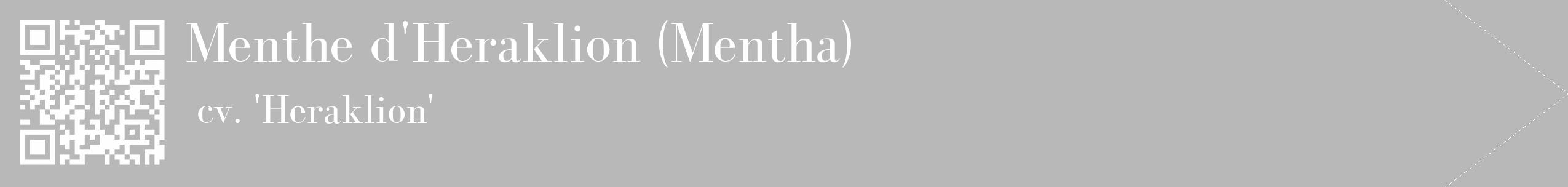 Étiquette de : Mentha cv. 'Heraklion' - format c - style blanche39_simple_simplebod avec qrcode et comestibilité