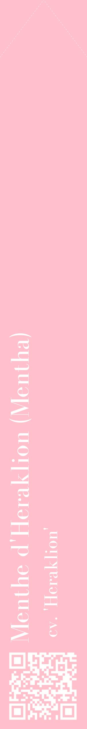 Étiquette de : Mentha cv. 'Heraklion' - format c - style blanche40_simplebod avec qrcode et comestibilité