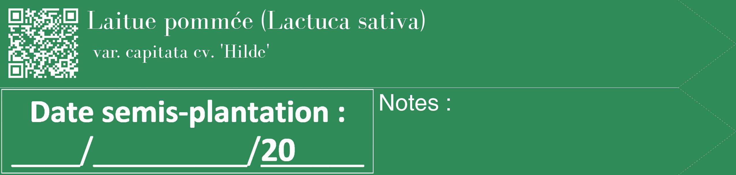 Étiquette de : Lactuca sativa var. capitata cv. 'Hilde' - format c - style blanche11_simple_simplebod avec qrcode et comestibilité