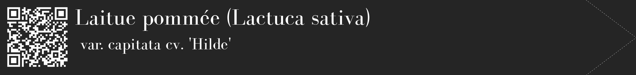 Étiquette de : Lactuca sativa var. capitata cv. 'Hilde' - format c - style blanche47_simple_simplebod avec qrcode et comestibilité