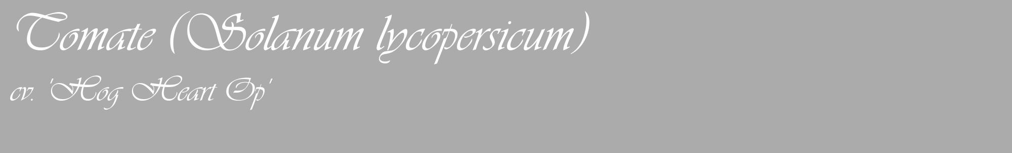 Étiquette de : Solanum lycopersicum cv. 'Hog Heart Op' - format c - style blanche37_basique_basiqueviv avec comestibilité