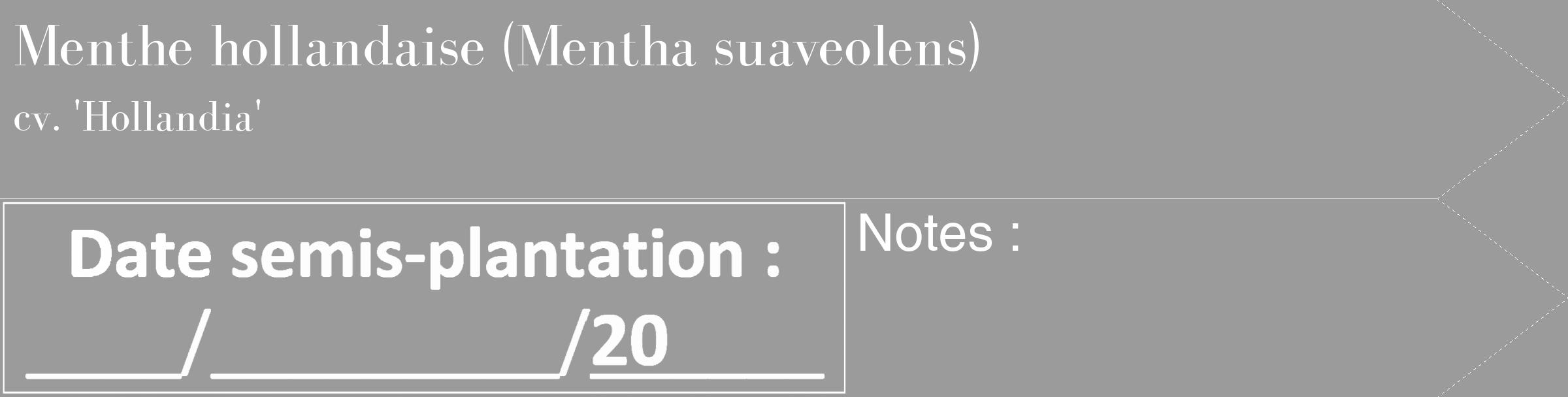 Étiquette de : Mentha suaveolens cv. 'Hollandia' - format c - style blanche52simple_simple_simplebod avec comestibilité